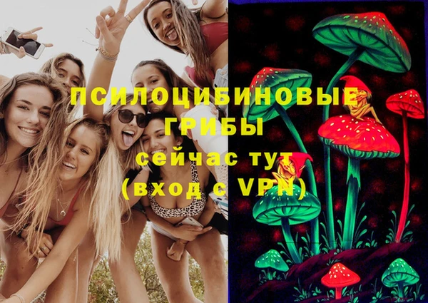 ешки Заводоуковск